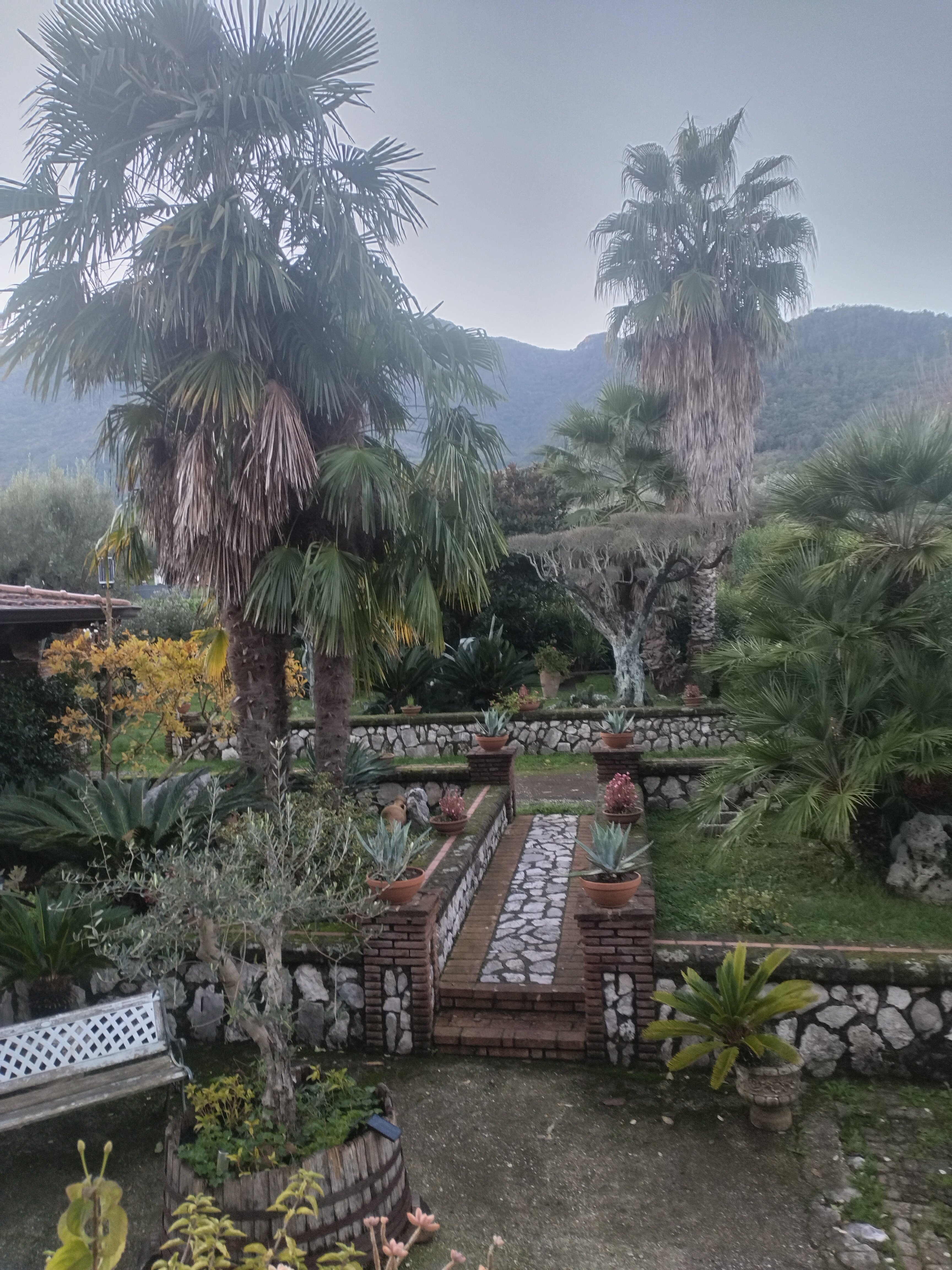 B&B IL GIARDINO DI EOLO (Pietramelara): Prezzi E Recensioni (2024)