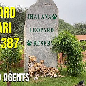 Jaipur Zoo - All You Need to Know BEFORE You Go (with Photos) Jaipur Zoo - All You Need to Know BEFORE You Go (with Photos)
