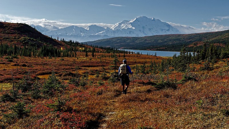 Hiking down to Wonder Lake in Denali National Park and Preserve during the Midnight Sun