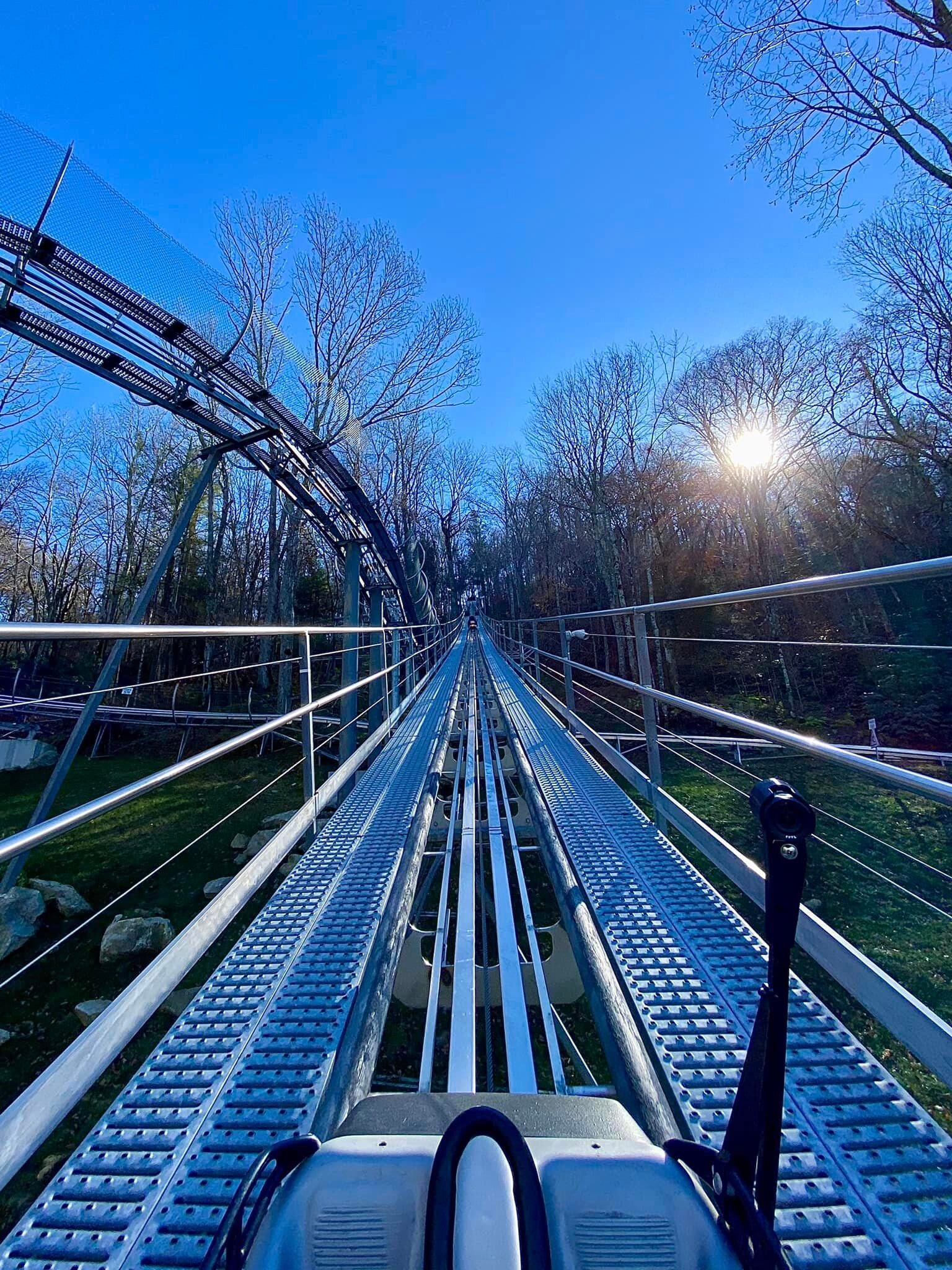 Wilderness Run Alpine Coaster All You Need to Know BEFORE You Go