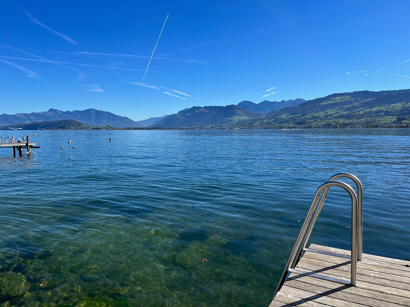 HOTEL R SSLI Hurden Svizzera Prezzi E Recensioni 2023 hotel-r-ssli-hurden-svizzera-prezzi-e-recensioni-2023