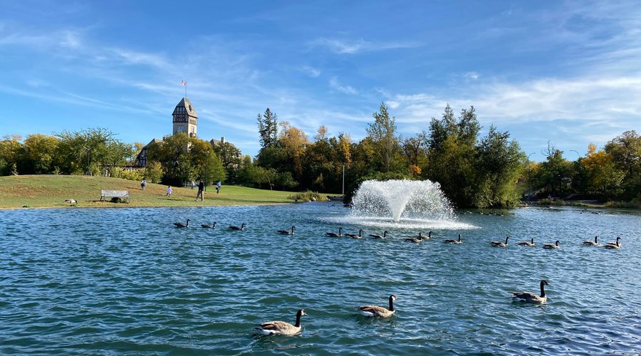 The Riley Family Duck Pond is located in the heart of Assiniboine Park.