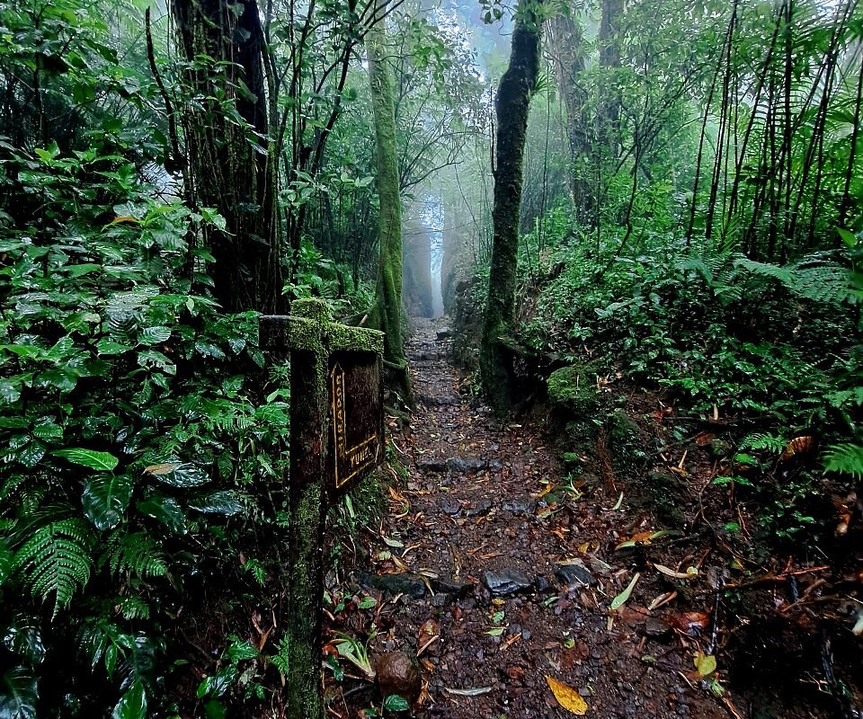 Miravalle Canopy Tour - All You Need to Know BEFORE You Go (with Photos)