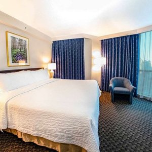SUPERIOR KING SUITE