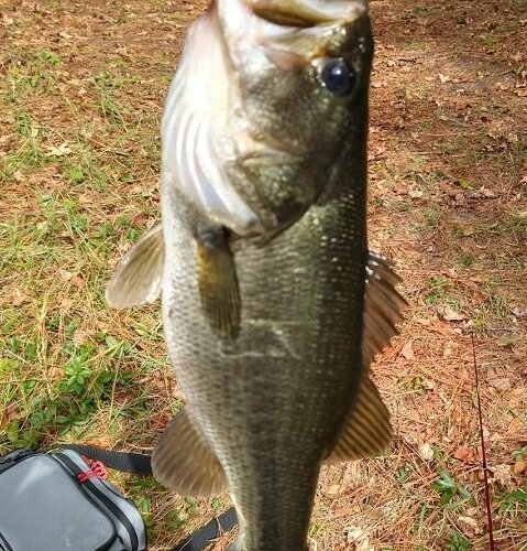 Jarvis Creek Park (Hilton Head) - All You Need to Know BEFORE You Go