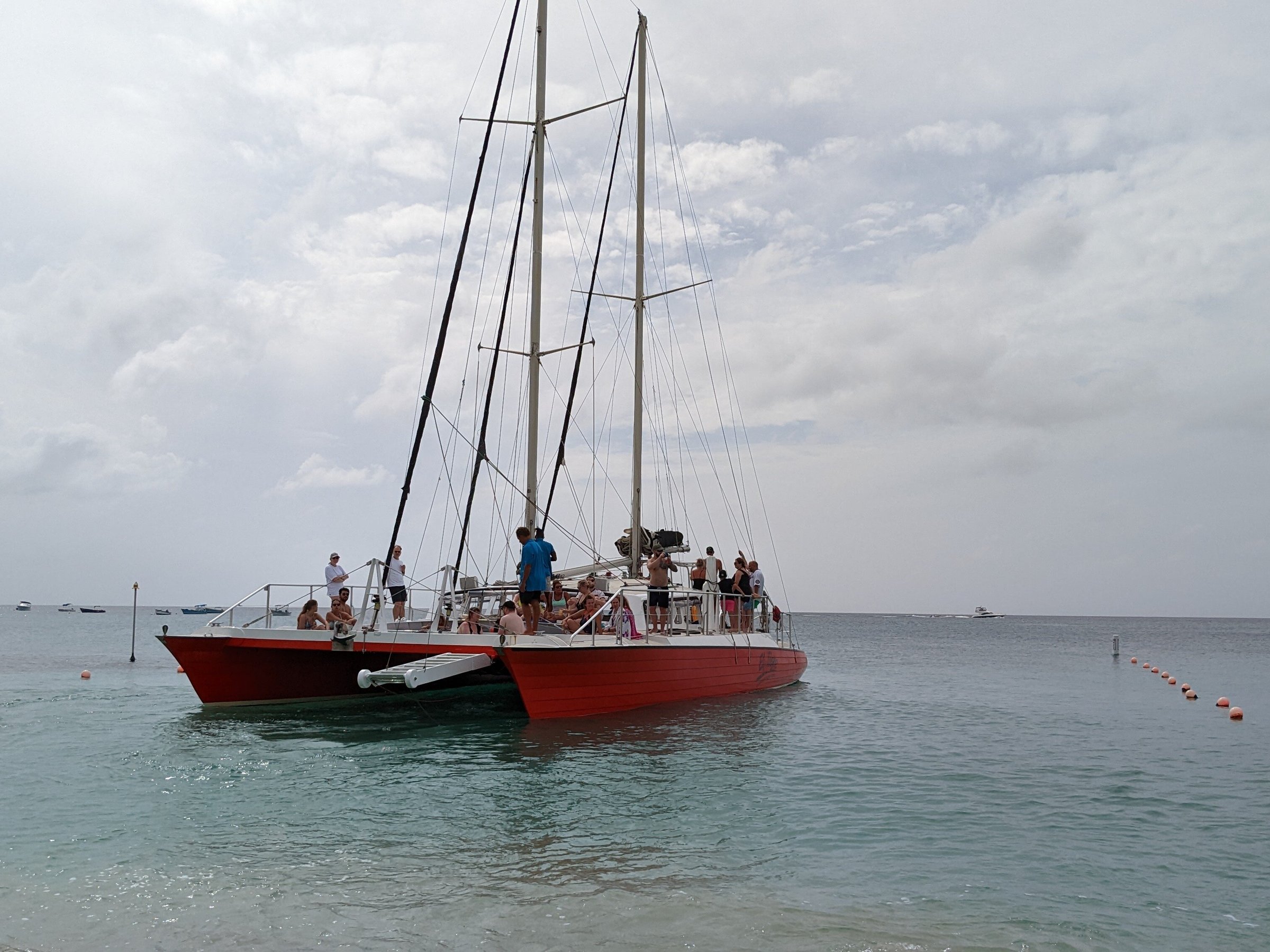 el tigre catamaran sailing cruises reviews