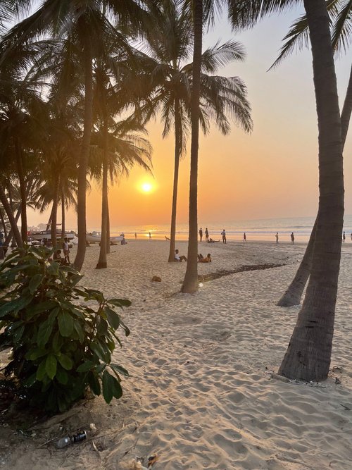 Bungalow Beach Hotel Serekunda Gambia Fotos Reviews En Prijsvergelijking Tripadvisor 3217