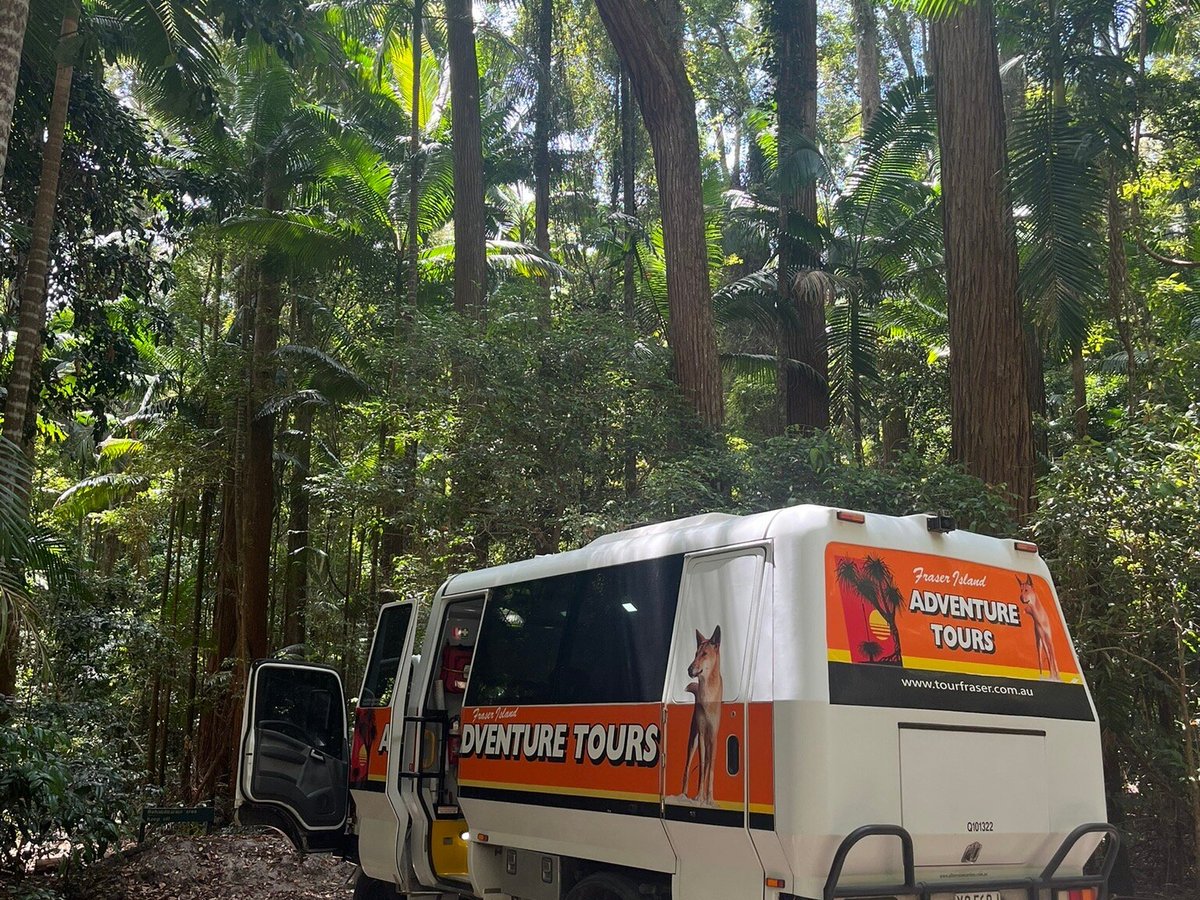 Fraser Island Adventure Tours (Noosa) All You Need to Know BEFORE You Go