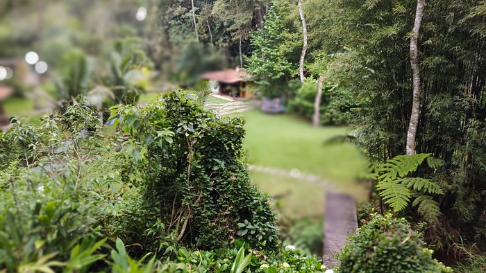 ARARA AZUL - Prices & Lodging Reviews (Nova Friburgo, Brazil) ARARA AZUL - Prices & Lodging Reviews (Nova Friburgo, Brazil)