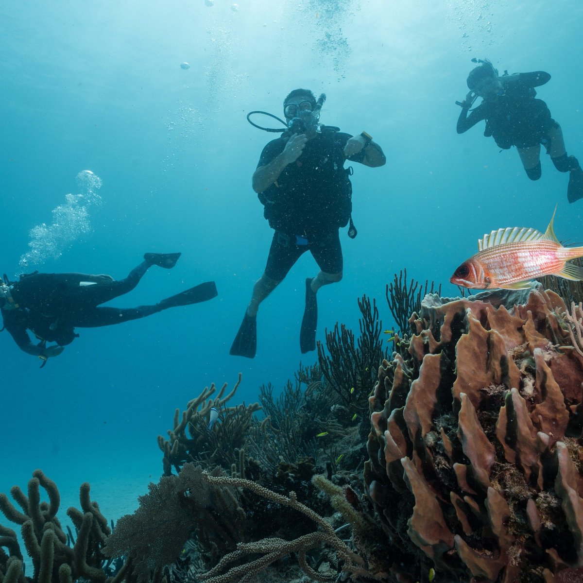 playa del carmen submarine tour