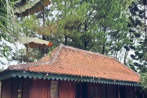 Wisatawan