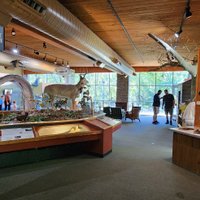 Salato Wildlife Education Center - All You Need to Know BEFORE You Go ...