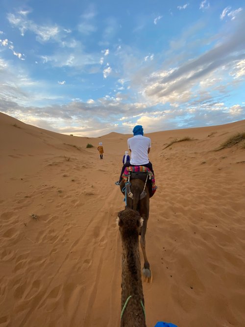 Ouarzazate Flavia De Marchis review images
