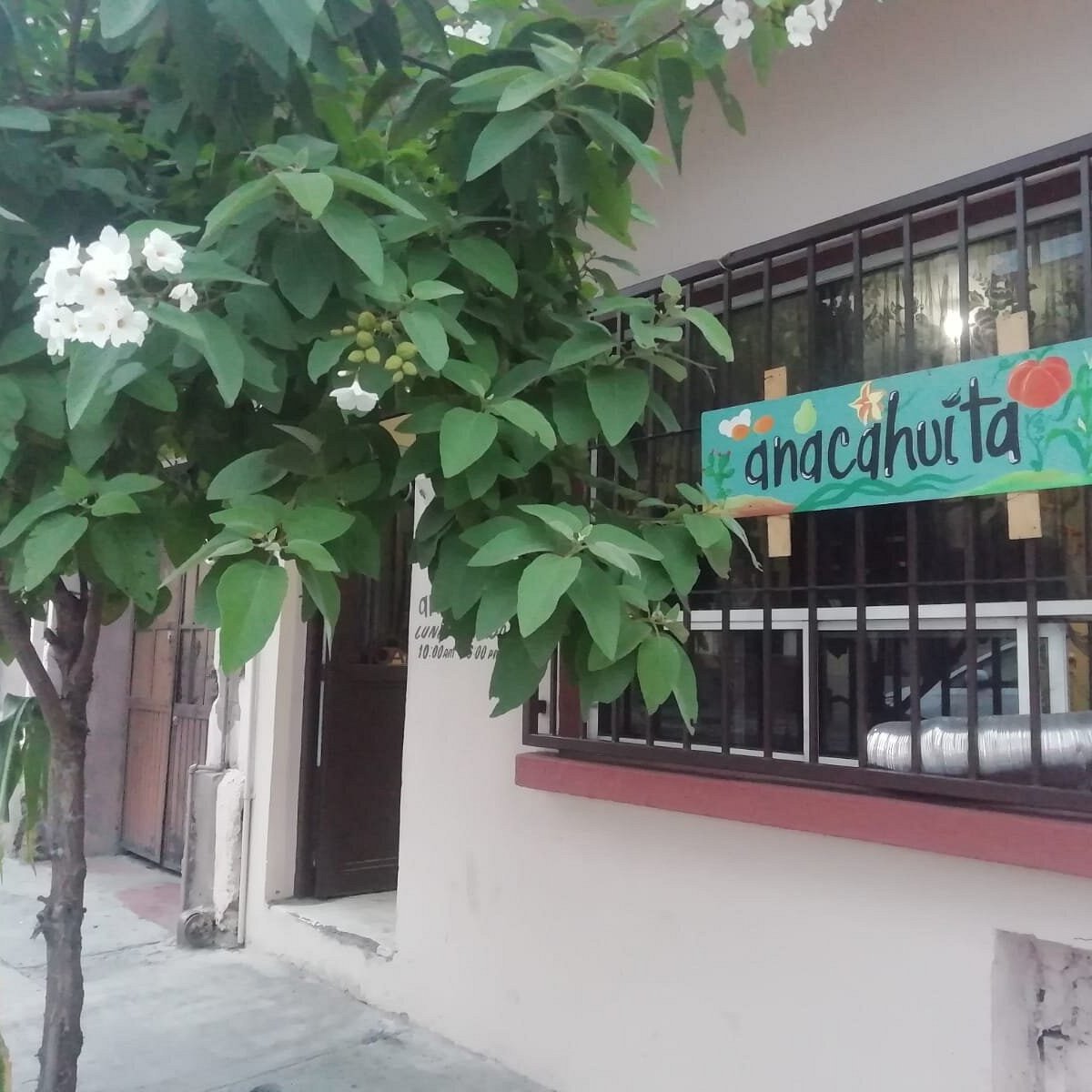 Anacahuita Ecotienda Monterrey (Mexico): Hours, Address - Tripadvisor