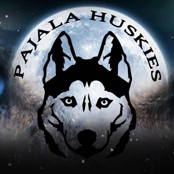 Pajala Huskies image