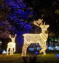 Christmas Market on Rathausplatz (Vienna) - All You Need to Know BEFORE ...