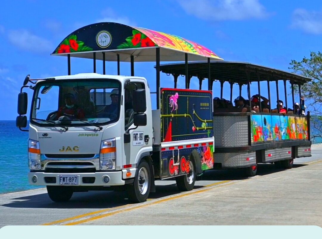 Tren turistico San Andres Isla, Остров Сан-Андрес: лучшие советы перед  посещением - Tripadvisor