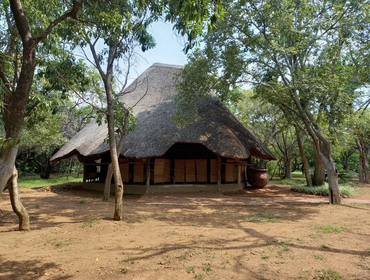 Lion and Cheetah Sanctuary image