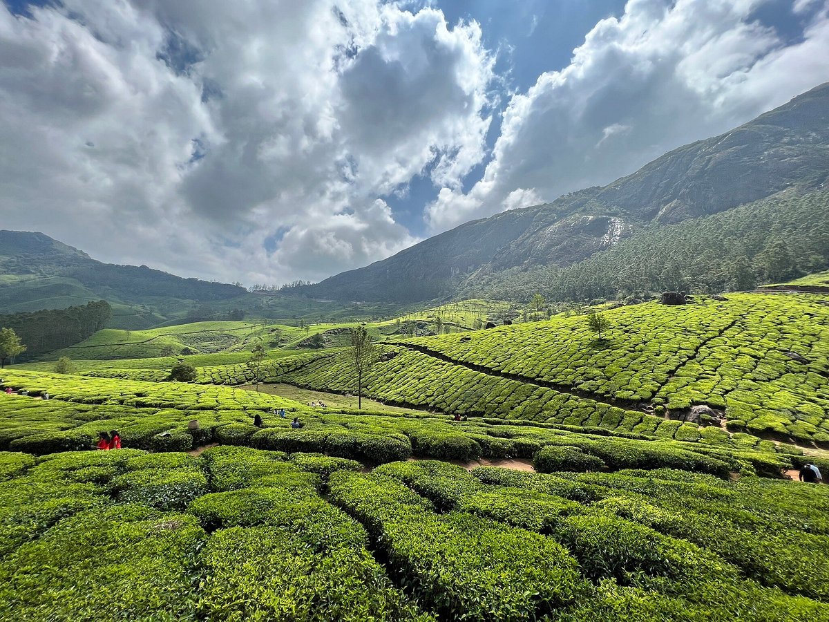 MUNNAR ANGEL CABS - All You Need to Know BEFORE You Go