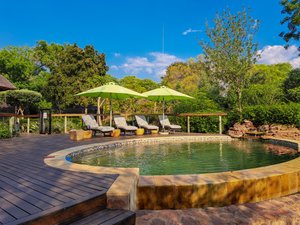 MOLAPO SAFARI - Prices & Guest house Reviews (Lephalale, South Africa)