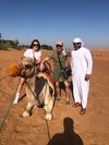 Tripadvisor, 1001 noites árabes: experiência oferecida por Arabian Nights  Tours LLC