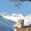 fiorenzod2016