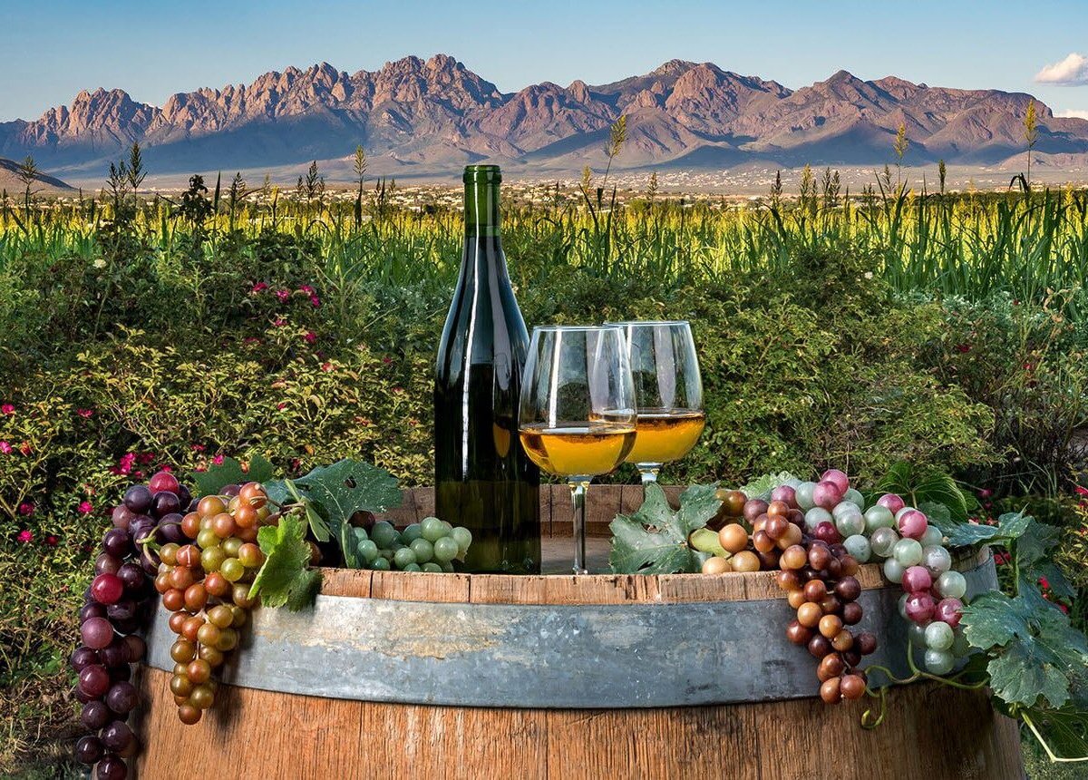 ABQ Wine Tour (Albuquerque) All You Need to Know BEFORE You Go