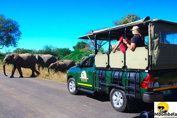 nelspruit kruger game drives & safari's mbombela