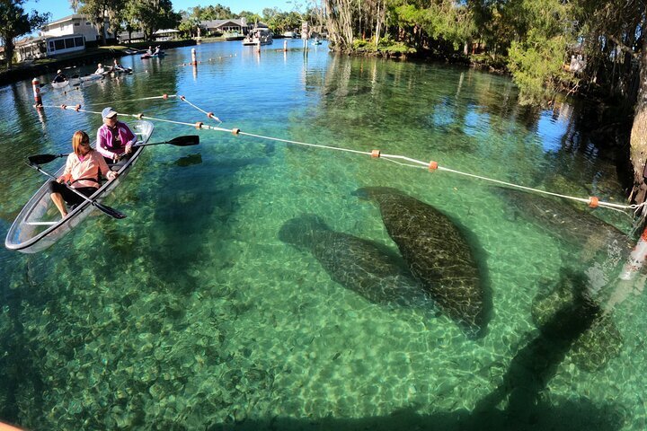 Backpage Crystal River Fl