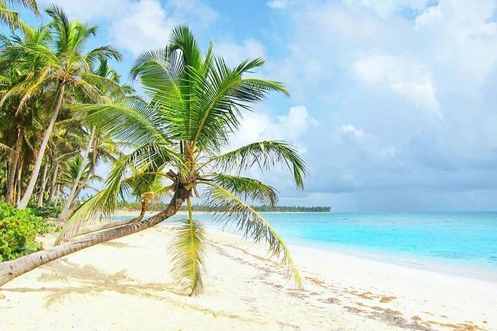 Shuttle Di Andata E Ritorno - Navetta Per L'aeroporto Di Punta Cana 7 ...