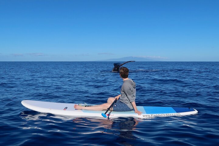 man paddleboards near whale        
        <figure class=