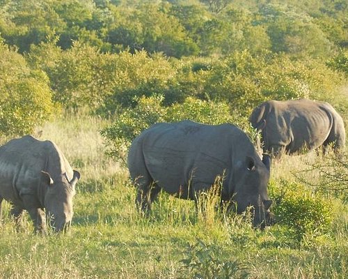south africa safari park