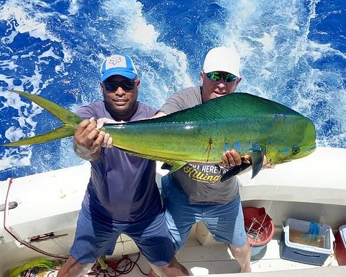 Deep Sea Fishing - Done Deal Sportfishing - Offshore Private Charter