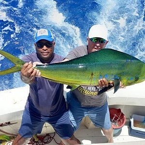 Mike´s Marina Fishing Charters image