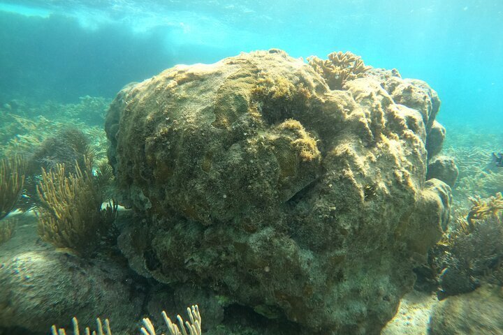 2023 3-Hour Premium Snorkeling around Isla Mujeres