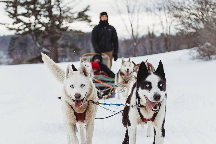 Jacques Cartier Park All You Need to Know BEFORE You Go 2024