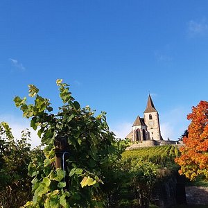 bonbons des Vosges - Ecole Ste Jeanne d'Arc