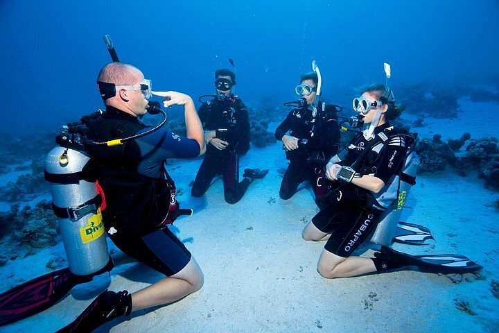 2024 Sicily Try Scuba Dive Baptism Of The Sea 