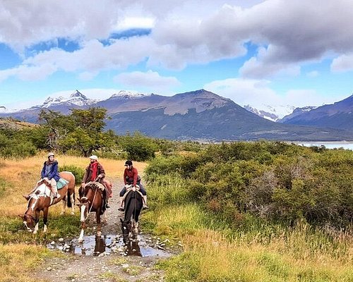 Patagonia and Altiplano Expedition  #26 – El Calafate – Wild Places