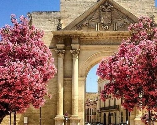 THE 5 BEST Lecce City Tours (Updated 2024) - Tripadvisor