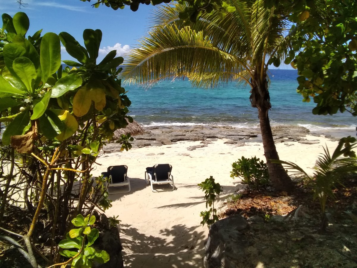 NAVINI ISLAND RESORT - Updated 2024 Reviews (Fiji)