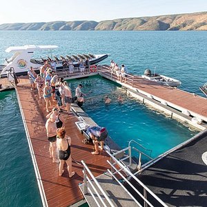 kimberley day cruise reviews