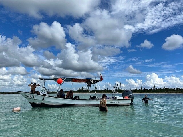 COZUMEL DIVE ACADEMY (San Miguel de Cozumel): Tutto quello che c'è da sapere