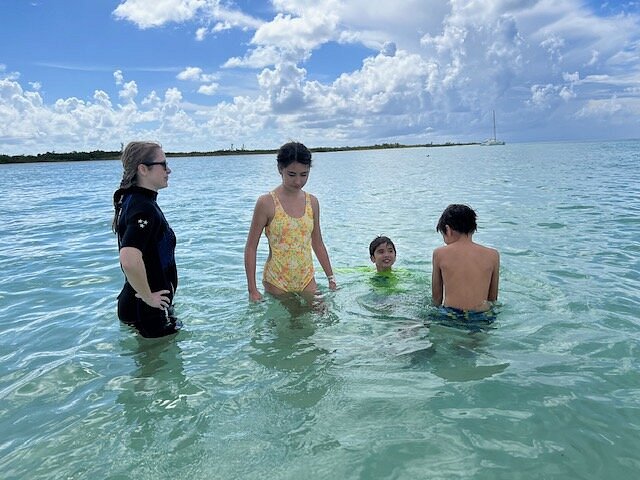 COZUMEL DIVE ACADEMY (San Miguel de Cozumel): Tutto quello che c'è da sapere