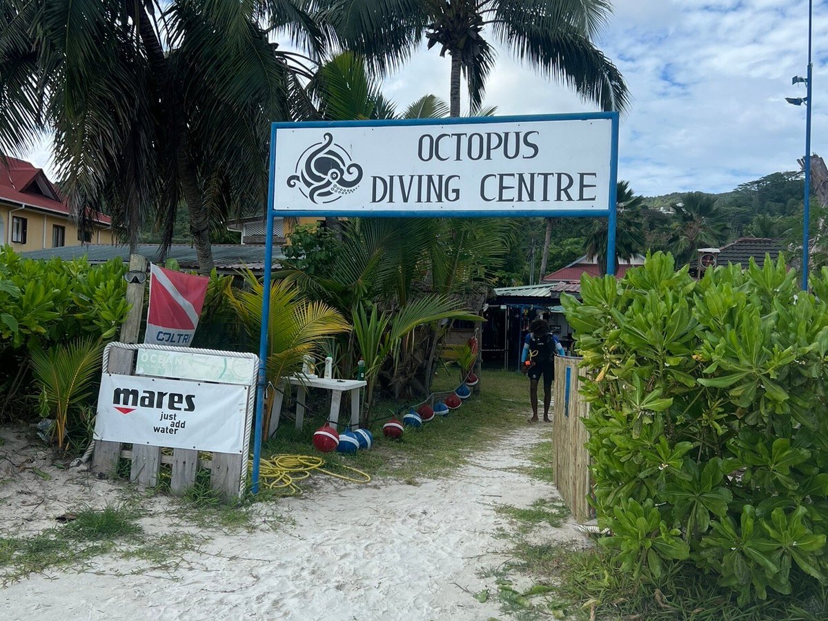 Octopus Diving Center (Praslin Island) All You Need to Know BEFORE You Go