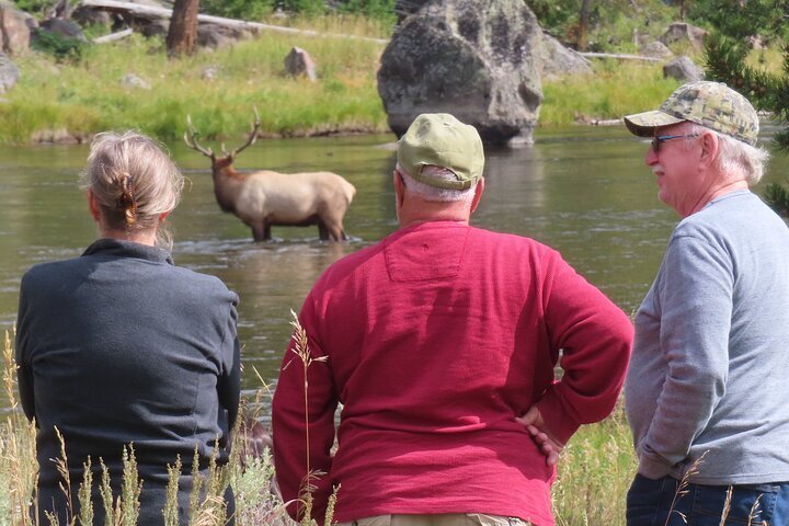 DIE TOP 10 Sightseeing-Touren In Yellowstone-Nationalpark (ab 5€)