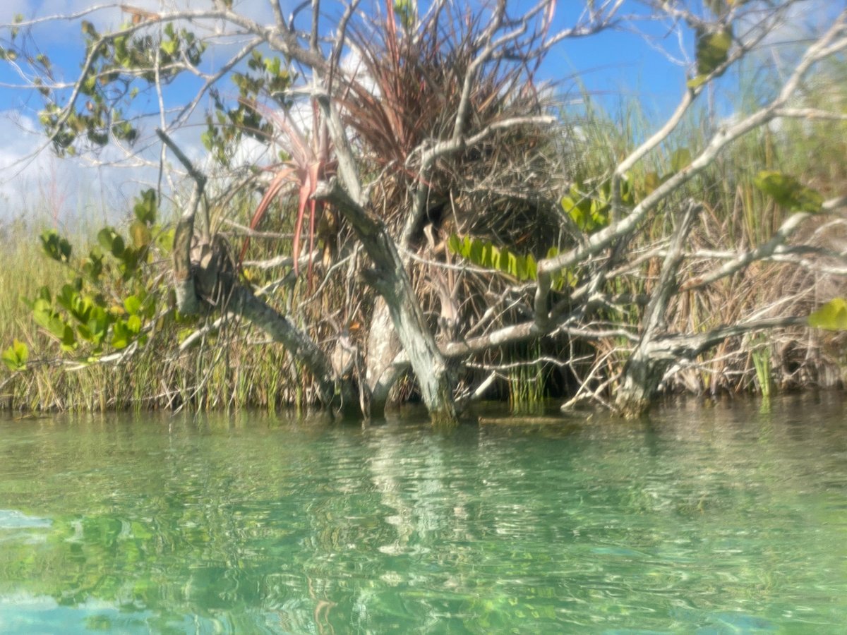 COMMUNITY TOURS SIAN KA'AN (Tulum) - All You Need to Know BEFORE You Go