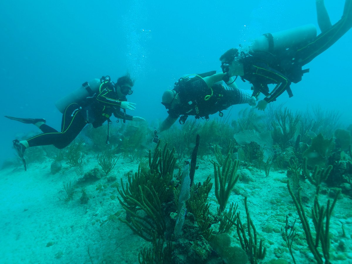 triton diving playa del carmen