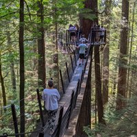 CAPILANO SUSPENSION BRIDGE PARK (North Vancouver) - 2023 What to Know ...