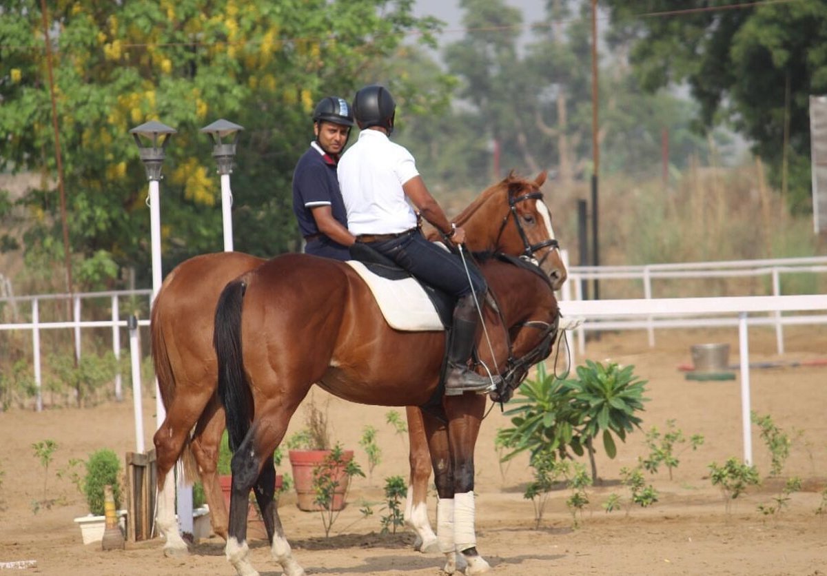 aravali-horse-riding-club-gurugram-gurgaon-india-hours-address